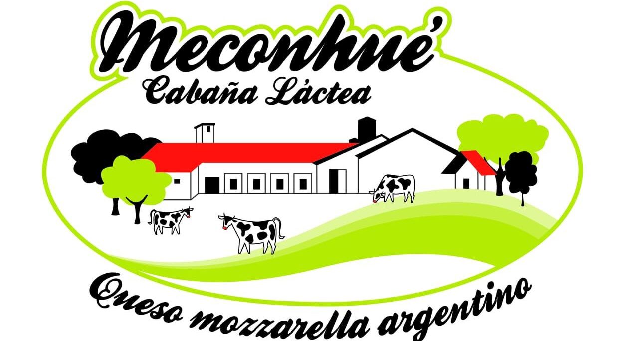 cropped photo 2025 06 06 14 22 08 1 1.jpg